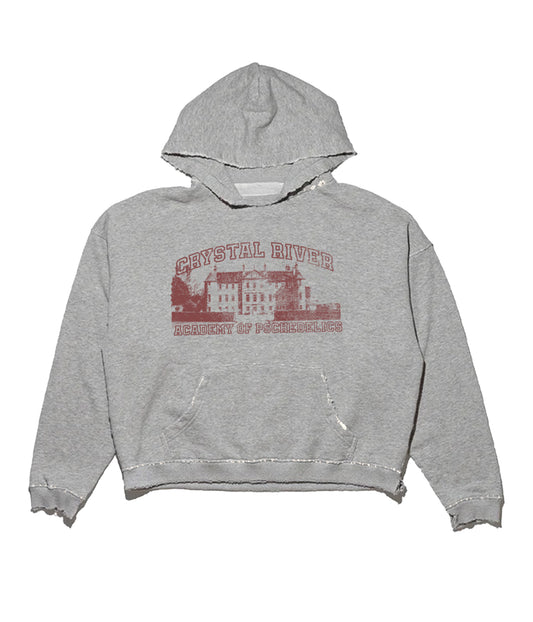 ACADEMY HOODIE